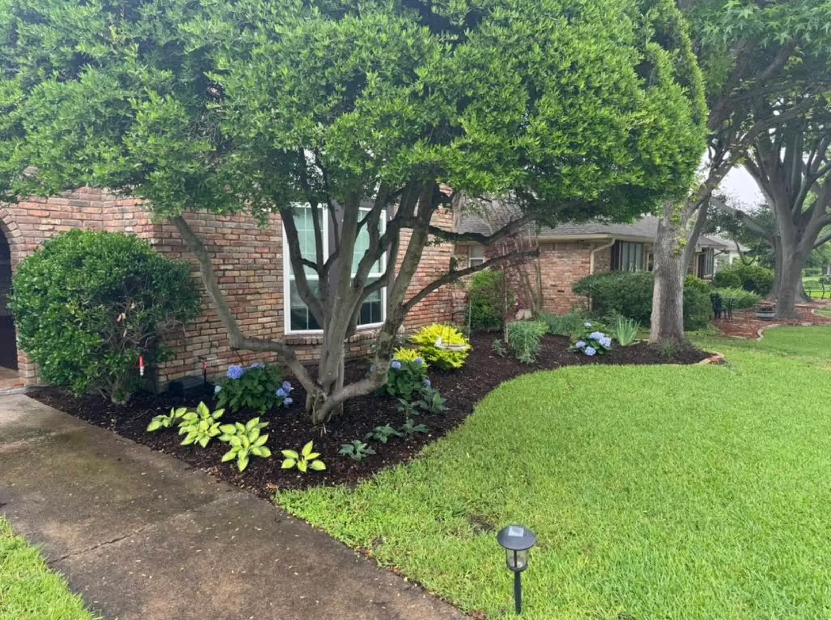 Southern Pro-Vision landscaping project